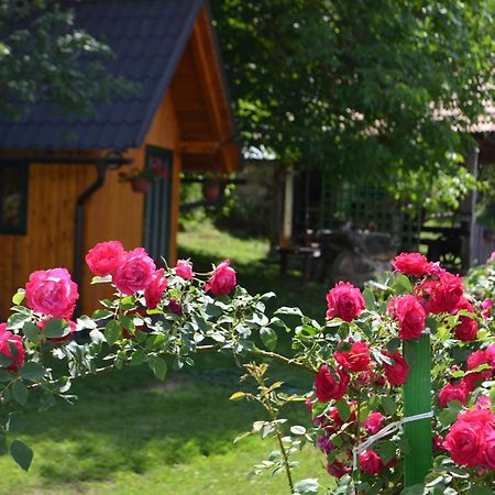 Apartmán Ivona - Kuca Za Odmor Perusic - Stara Lika Exteriér fotografie