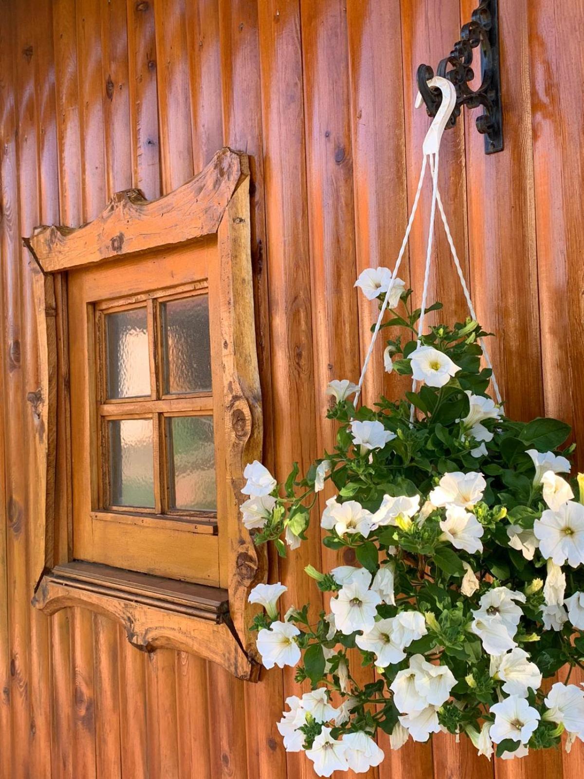 Apartmán Ivona - Kuca Za Odmor Perusic - Stara Lika Exteriér fotografie
