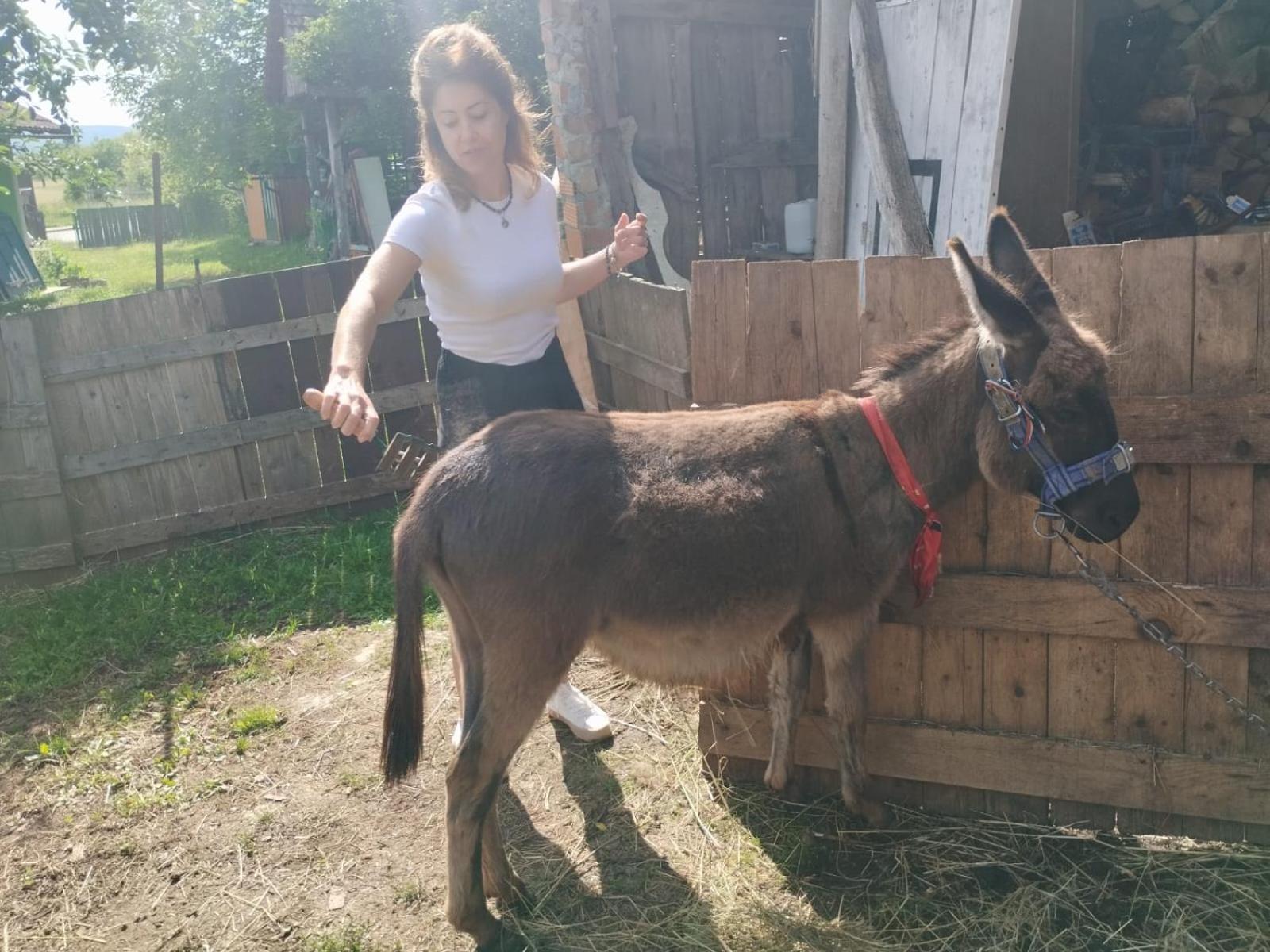 Apartmán Ivona - Kuca Za Odmor Perusic - Stara Lika Exteriér fotografie