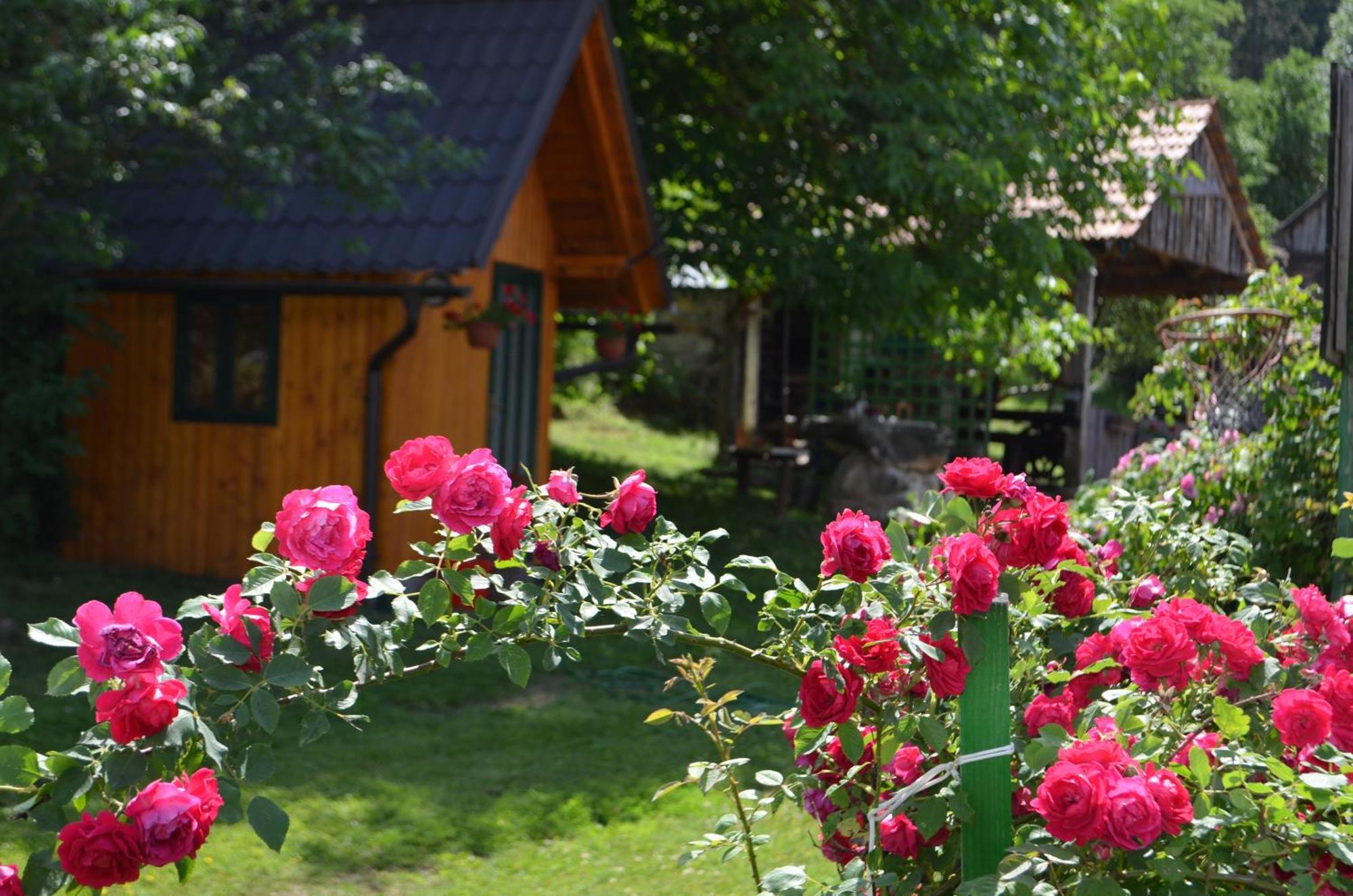 Apartmán Ivona - Kuca Za Odmor Perusic - Stara Lika Exteriér fotografie